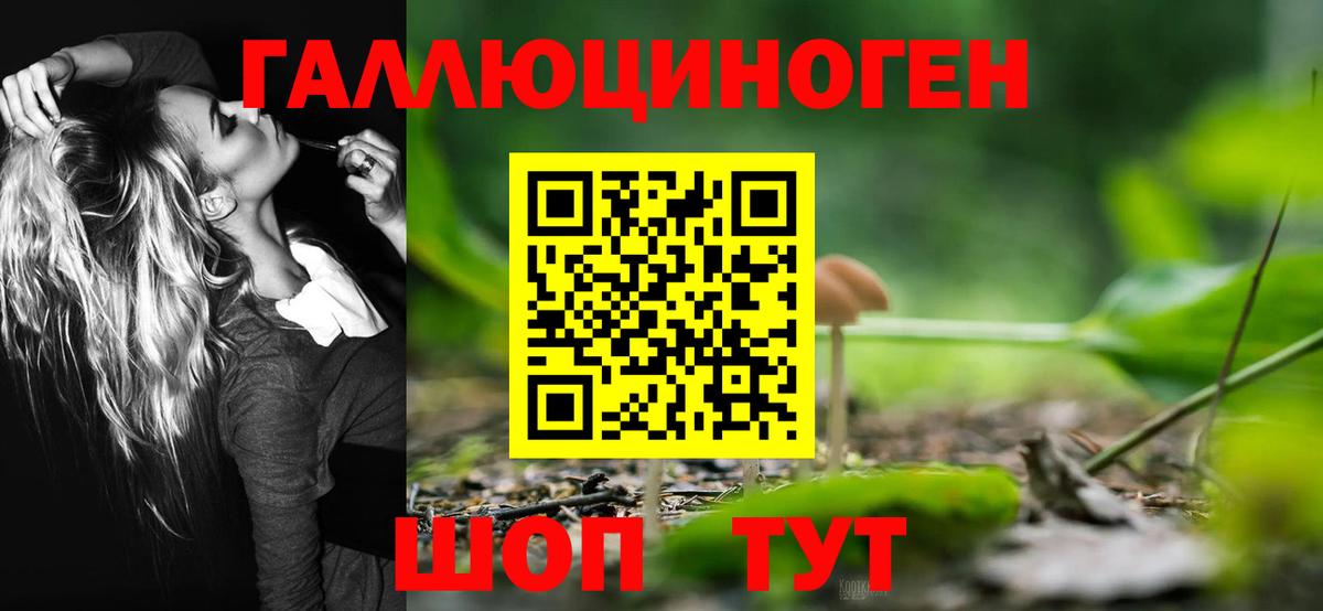 Псилоцибиновые грибы прущие грибы Саратов